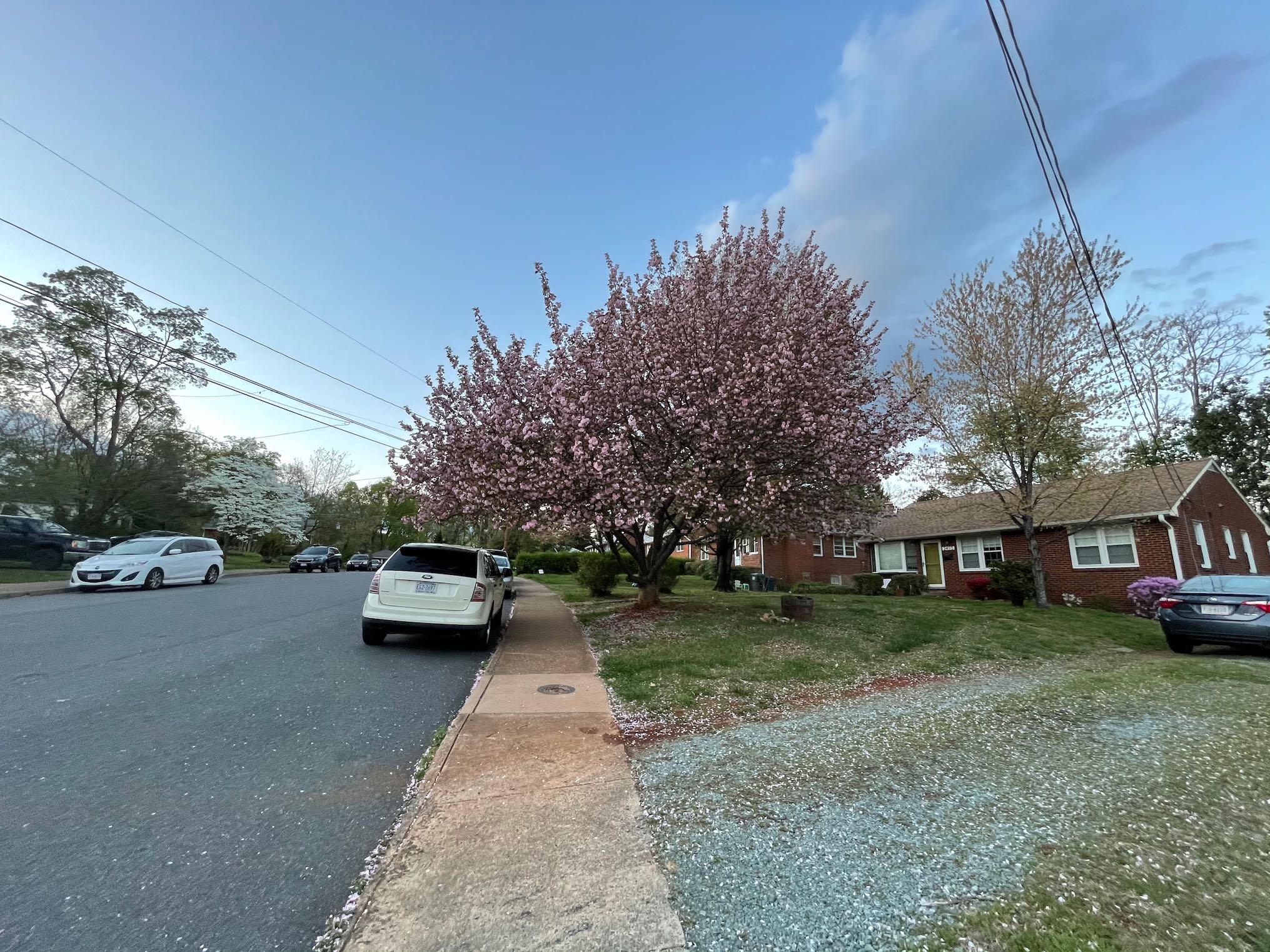 EL Neighborhood
